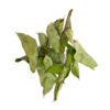 Dried Curry Leaves Suppliers