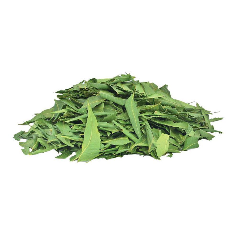 dry-neem-suppliers-wholesale-dried-neem-suppliers-herbcyte