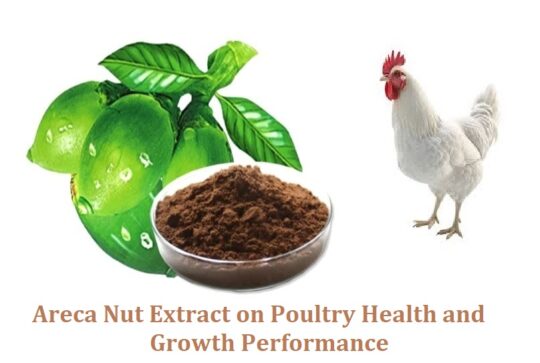 ARECA NUT EXTRACT_POULTRY HEALTH